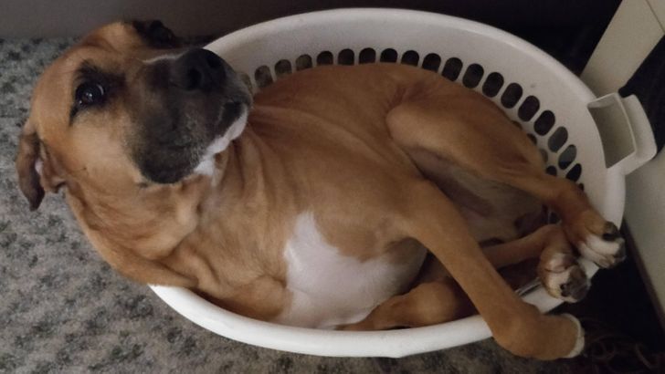 17041d56b8b27e0cc716000abd 17041d56b8b27e0cc716000abd