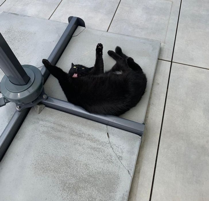 170719526ba28e36c67d0f5c62