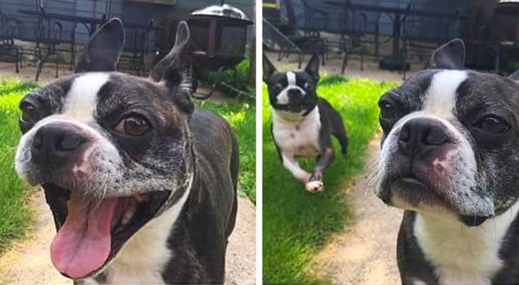 170c6f584791e252efc5fa5092