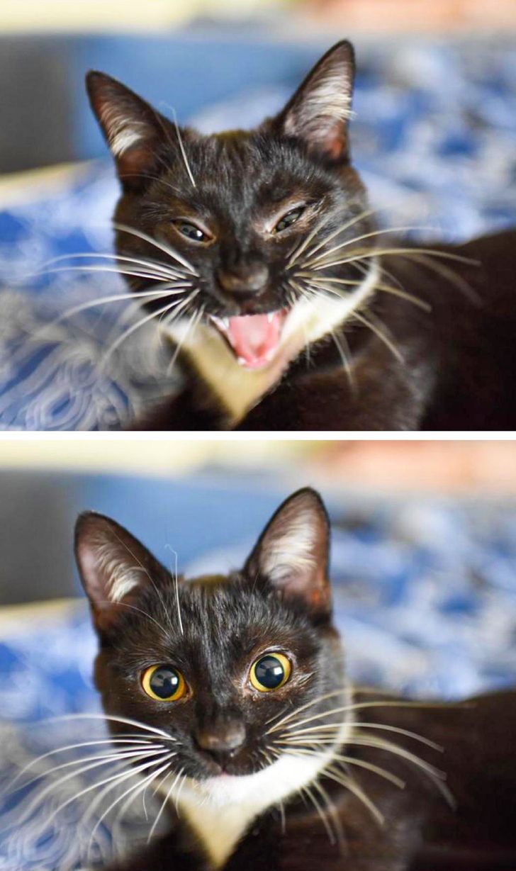 170cc456afa9231965ef292afb