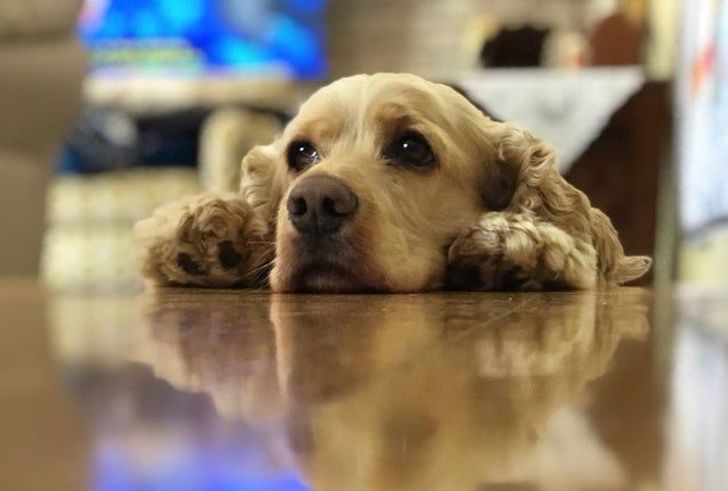 170cdd56fb9767447a5cd269fe