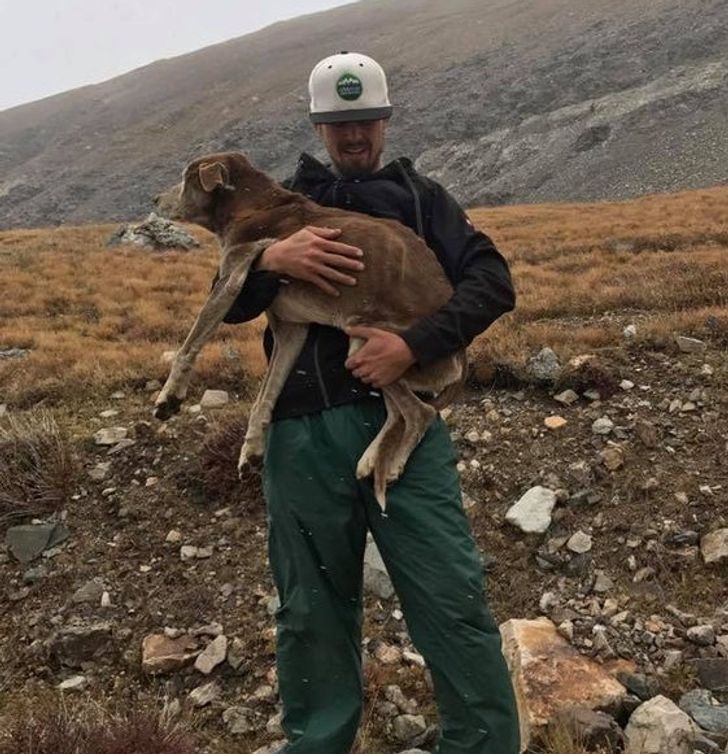 17100650b4a68d7564e1c6f4b1