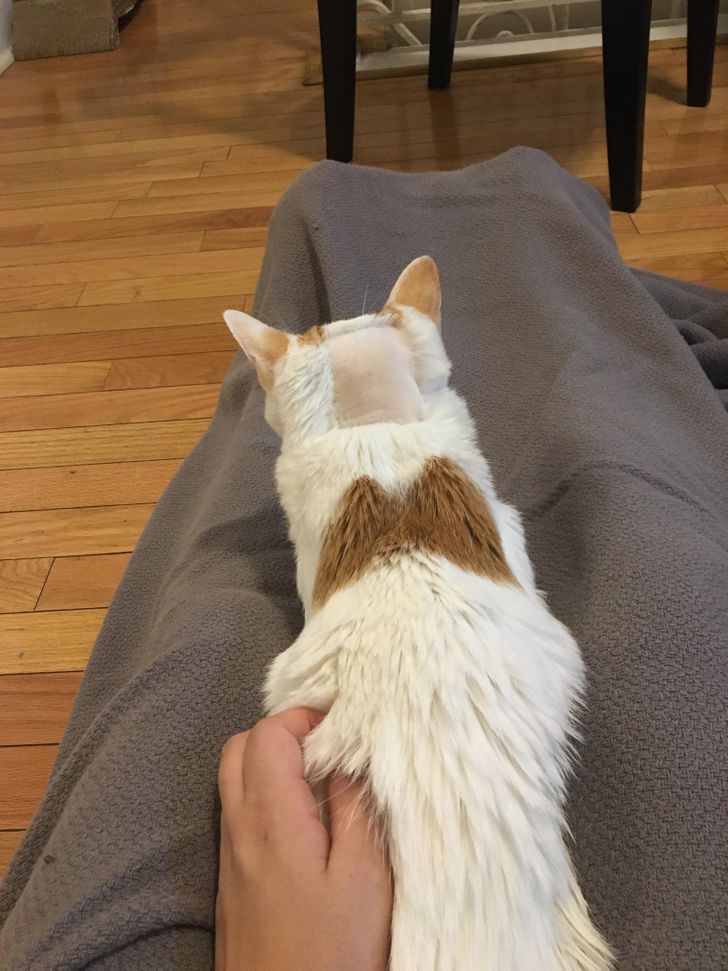 17100c5eecb81b9e4e548a1ced