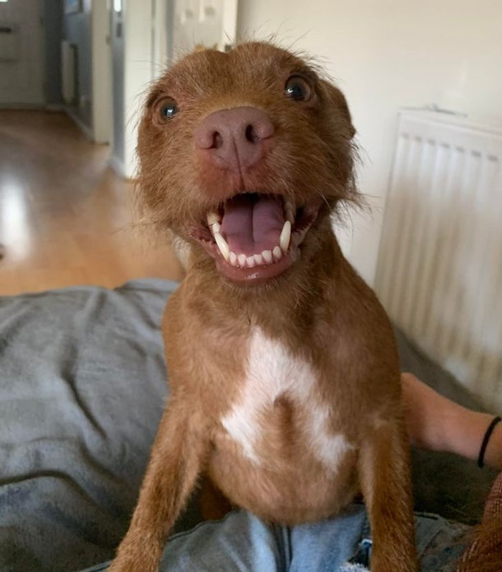 171e6e5e7f8d11a7af6fa17621