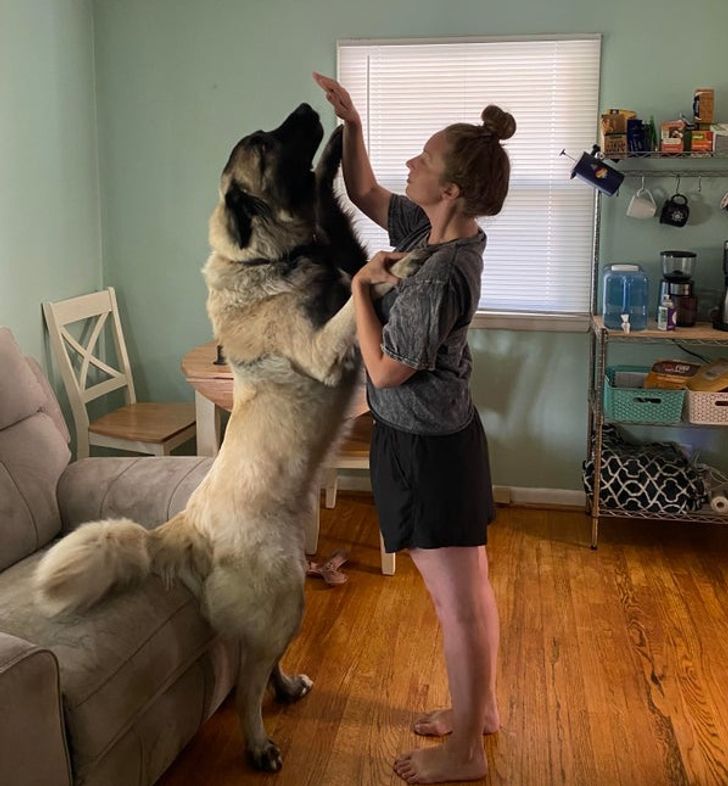 17229852bba8718ec987a2022c