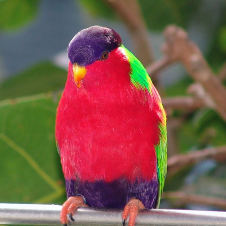 1724eb53cfaa36374dc7cd8184