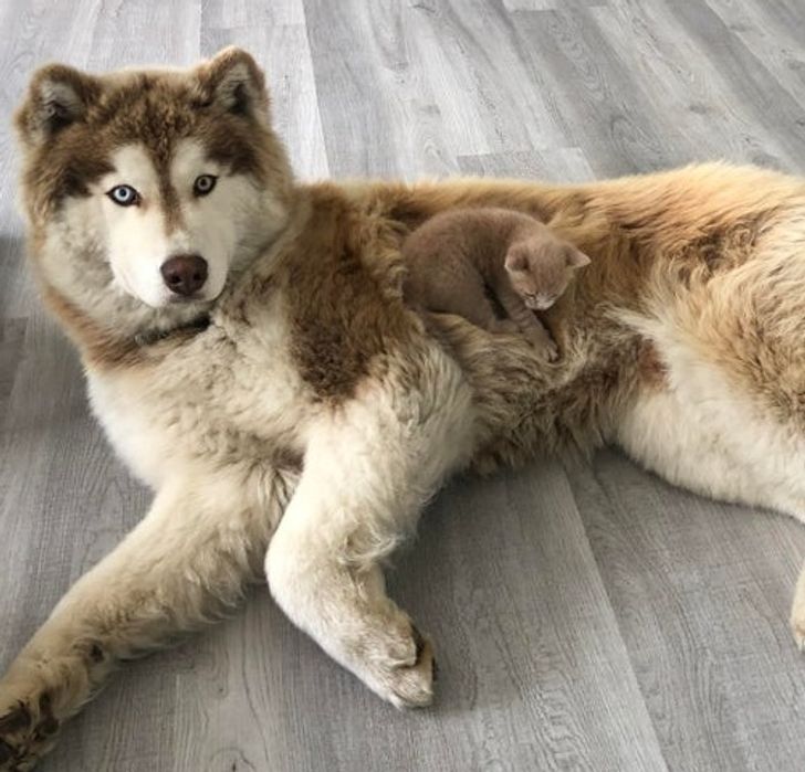 172c2c566abfcf5cc070eb5a63