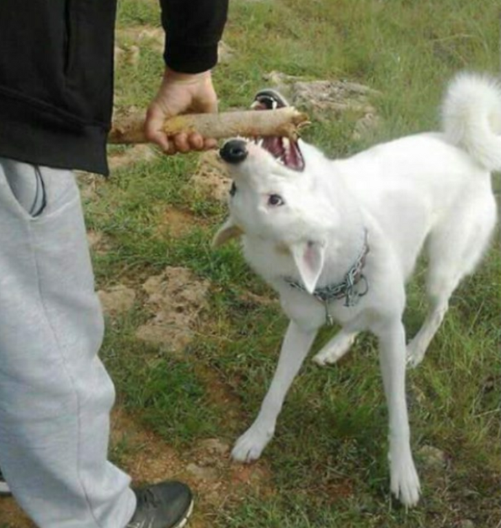 172e655c1882ec924b0cd80f31