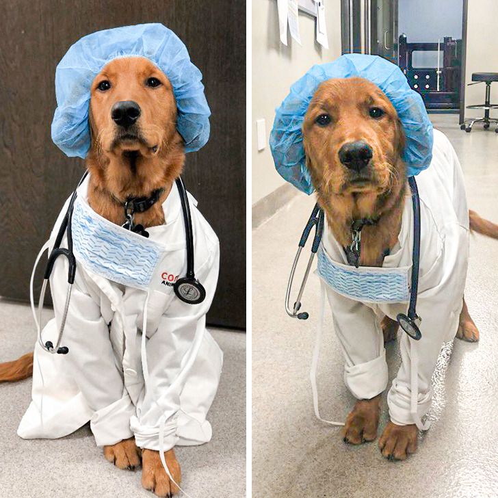 17322a5e29a544d3747a33e0a9