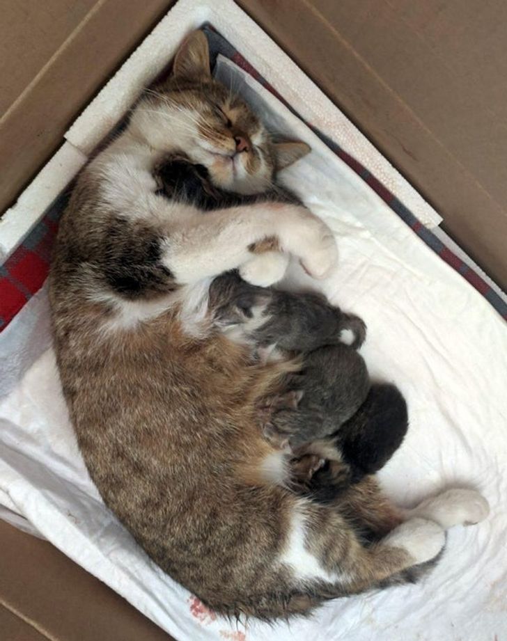 1736db577382df83deba5ebfa2