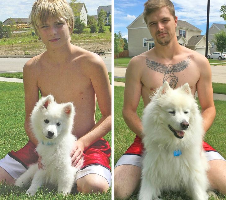 1736f355ba82c9137343337e47