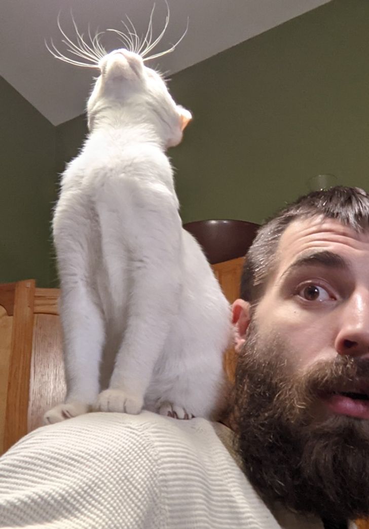 1737765d39b5b76f1cb8077f60