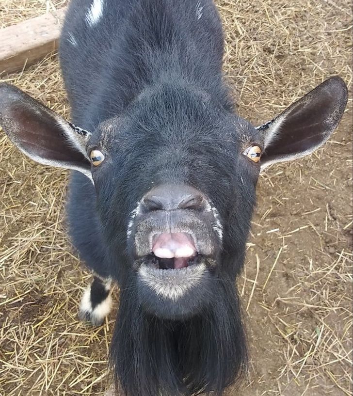 1737bd56089e6f8226c24bae05