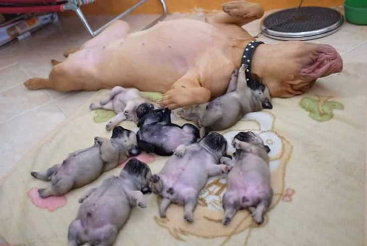 173b505571b2d1a93434993509