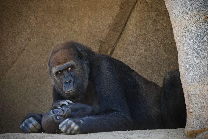 17404f52b4a20fc8aa12f97abe