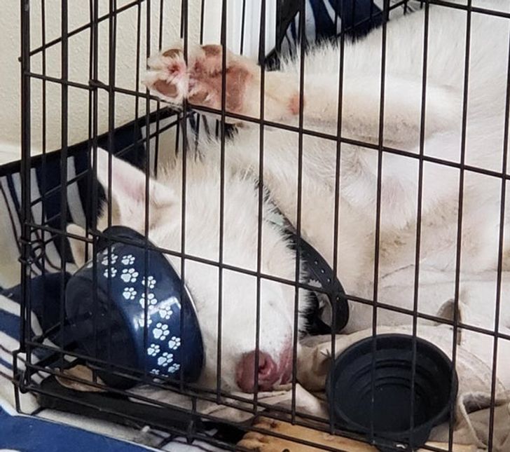 1751795556b29789272424a3d5