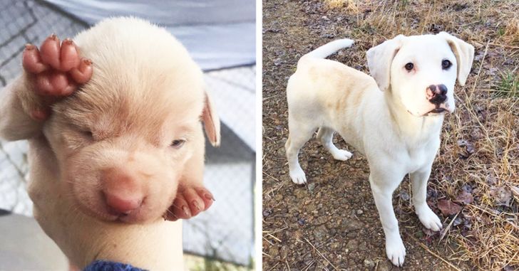 1752775ecd922c382b6f2e3f10