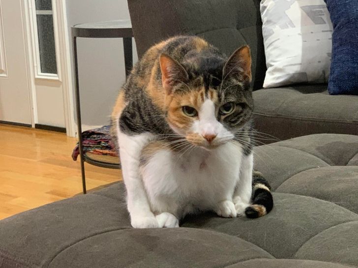 175cb3560cbaea5b614f98b9d4