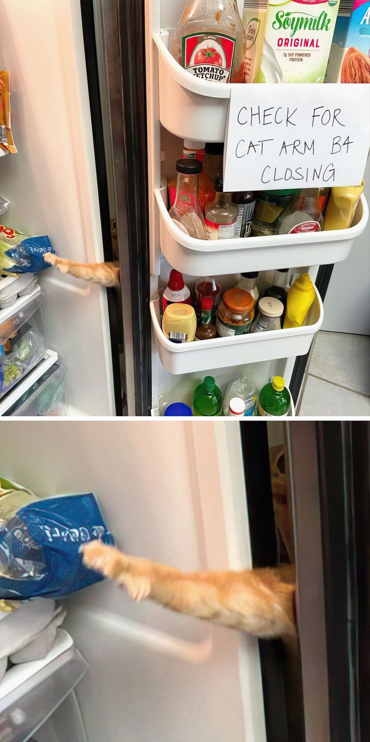 1763fe5f00a906b1c3c6705f64