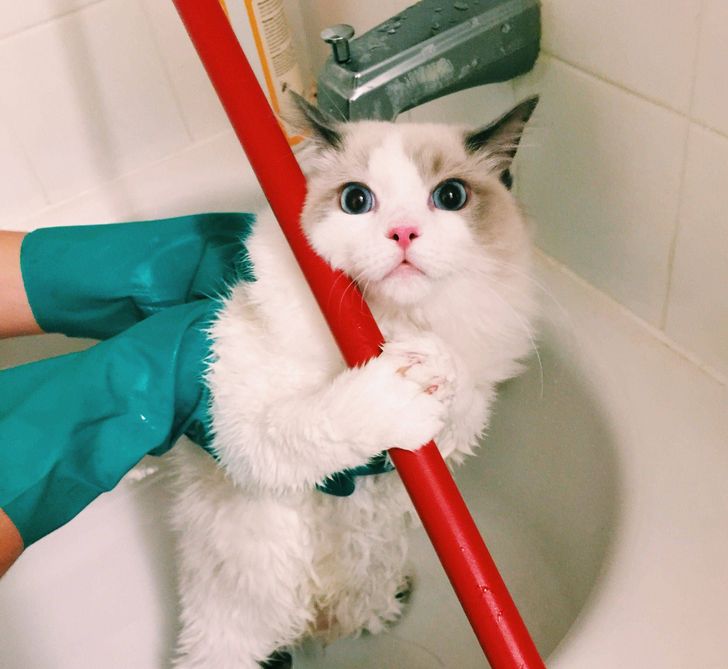 1770b6541ab11748a023682bf4