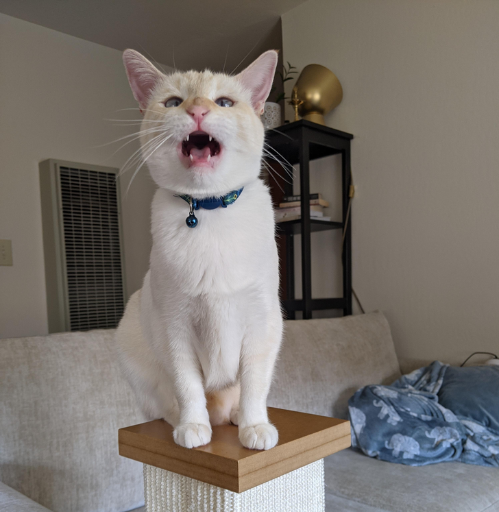 17758a51cfbbc92f72ba72ab06