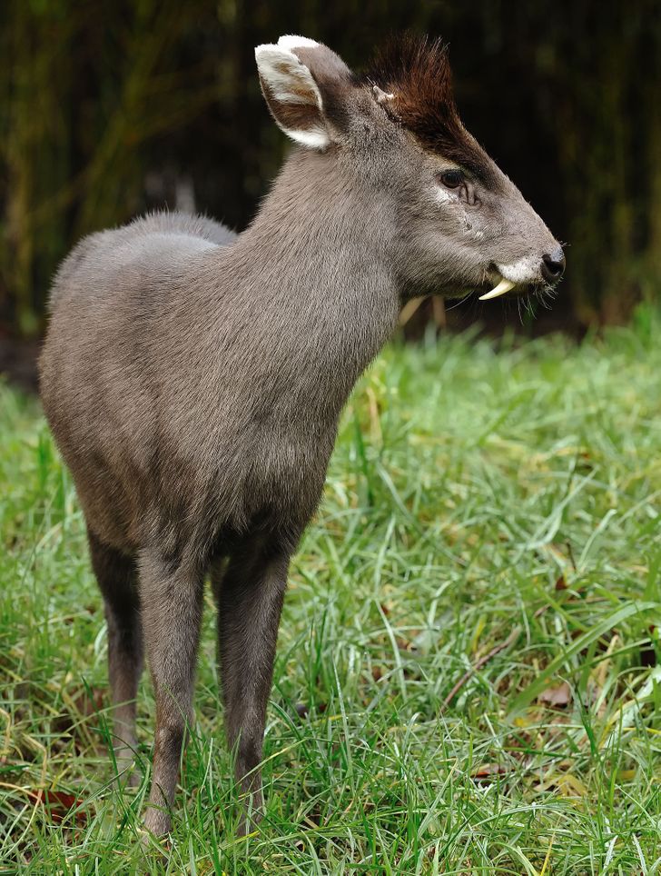 1775ed5e0dbc4340e99b7ab206