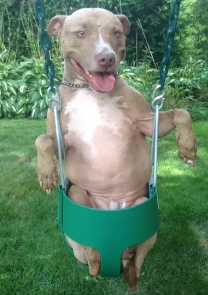 1776565fe5a7a507ea70ffa7b1