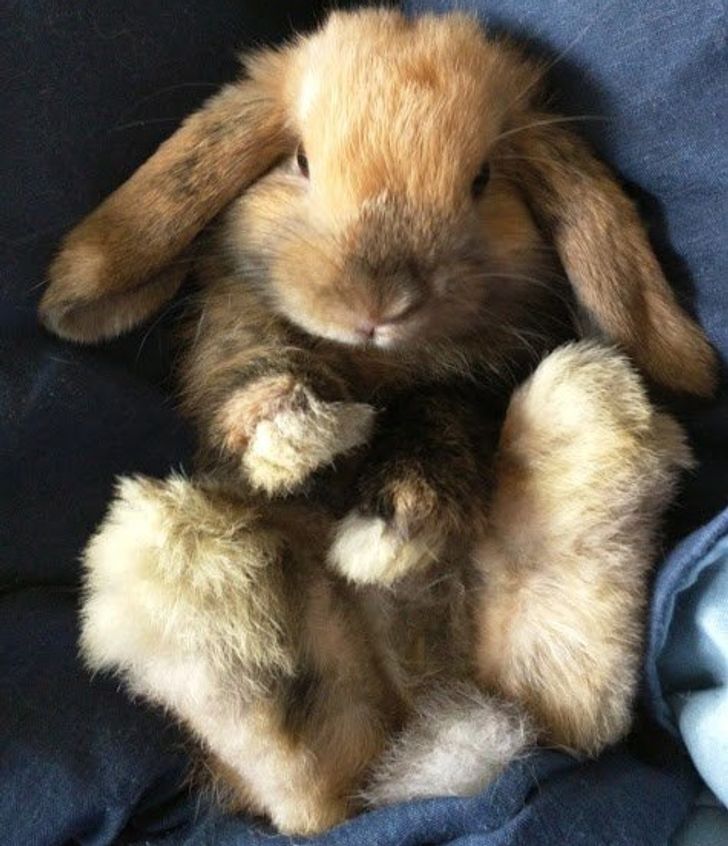 17857a54e2986515f60e79a2ca