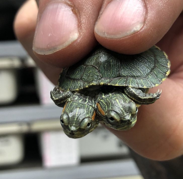 1788f85da98efd9df6e53f856b