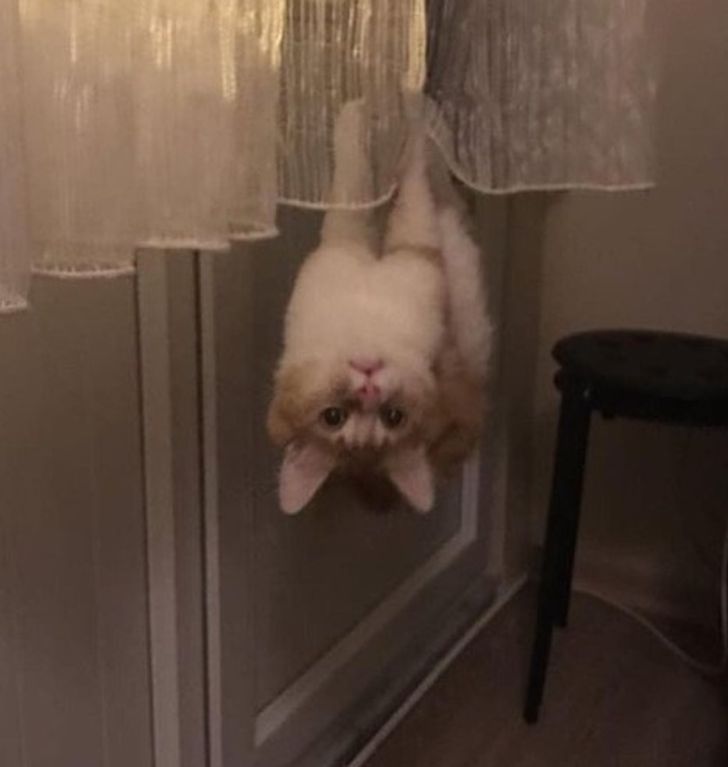 179a5a54609b9e4f462b628858