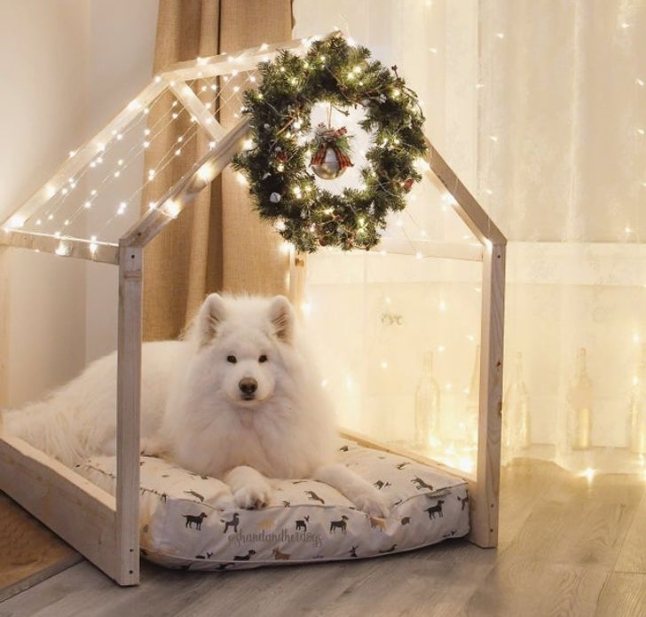 17a18e5cf490b9e35bdddd7f41