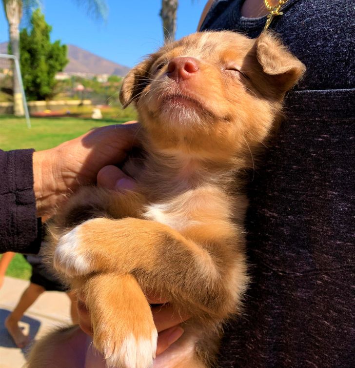 17a1c45e5d9b2922d389c5c653