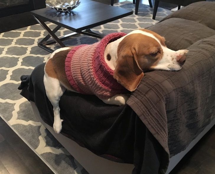 17a4d056df913de9ff45a836ee