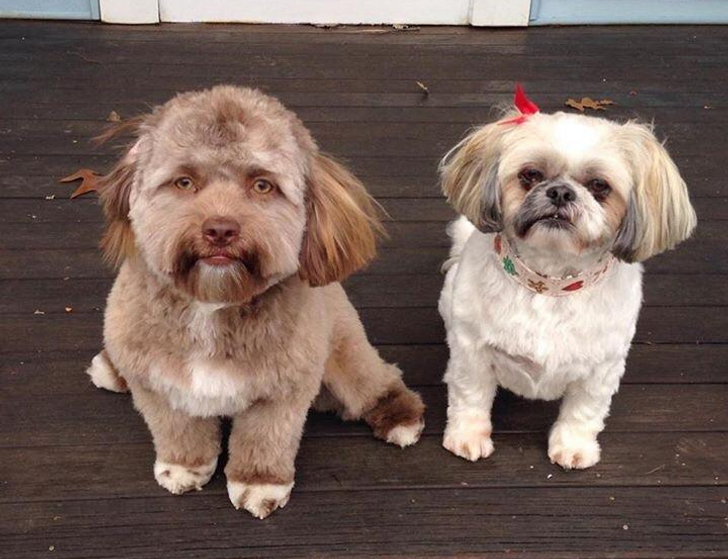 17ac4c5ba49f76f99381dfdfc5