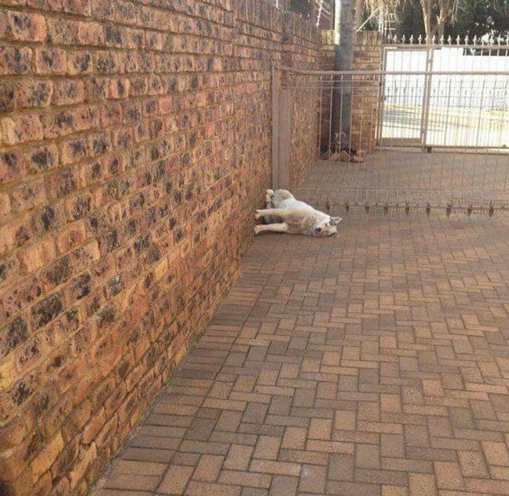 17ad375e83bb4b5461d10b1d8c