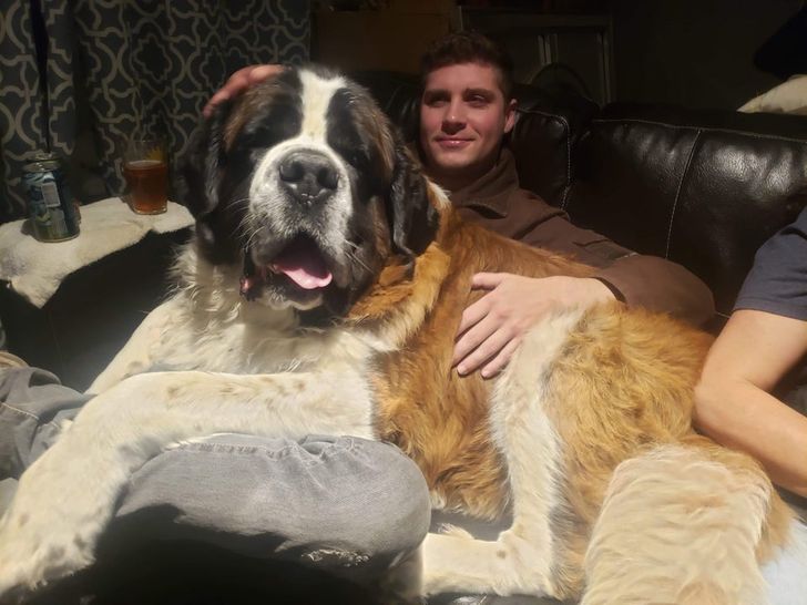 17afc2563f853f5eb29721f28e