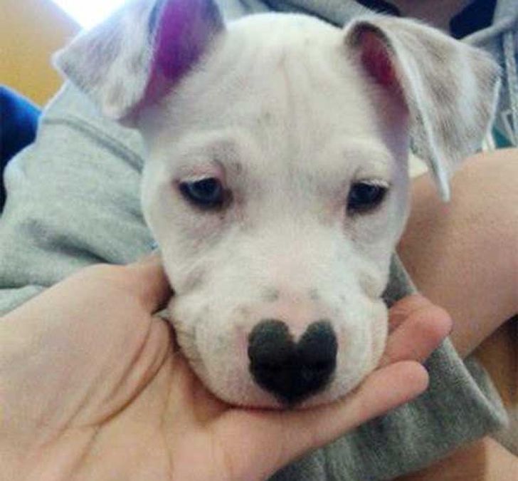 17b420585e9bbb3d2ca9afe015