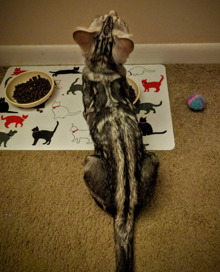 17b6285ffca665fc9b1c389e2e