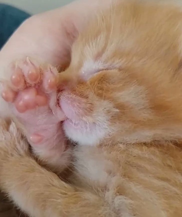 17b77f52c99fa00345e0e062af