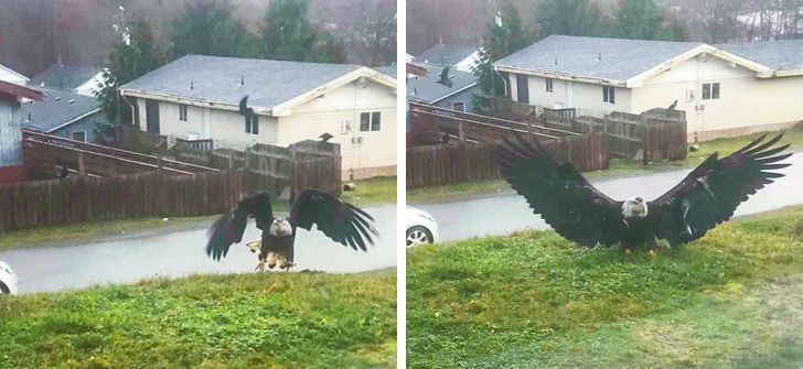 17b8065f3ab587fa2fad5c2006