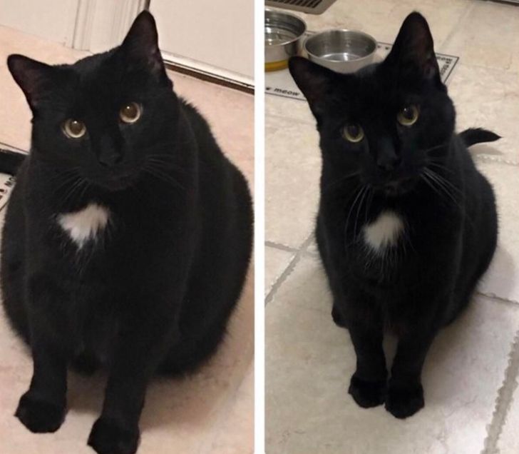 17bd0158ea918cf4b12204d01c