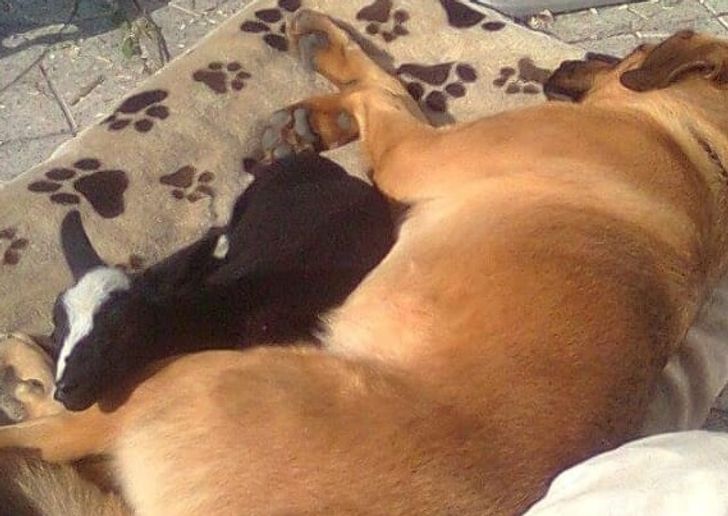 17be8d5182803b7502be012eec