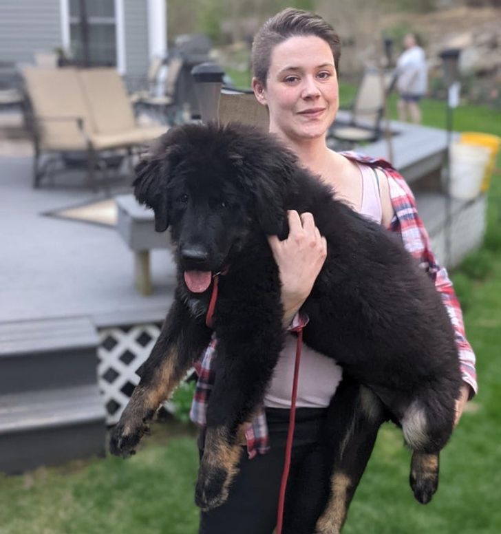 17c9675be582b40724e5a7be9e