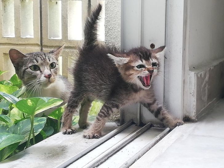 17ca6a53c98fd302bb365d8276