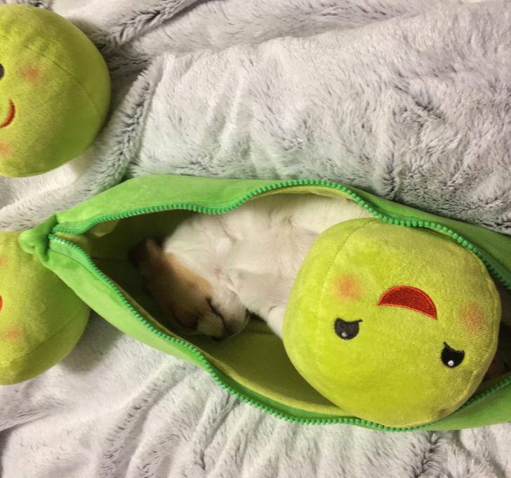 17d66150b0a1556f703d4e7af2