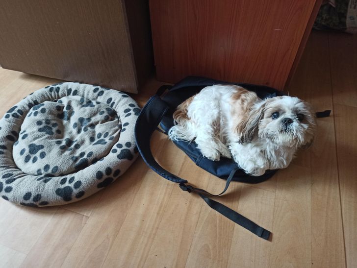 17d9ee5d4e853edf457f12b6be 17d9ee5d4e853edf457f12b6be