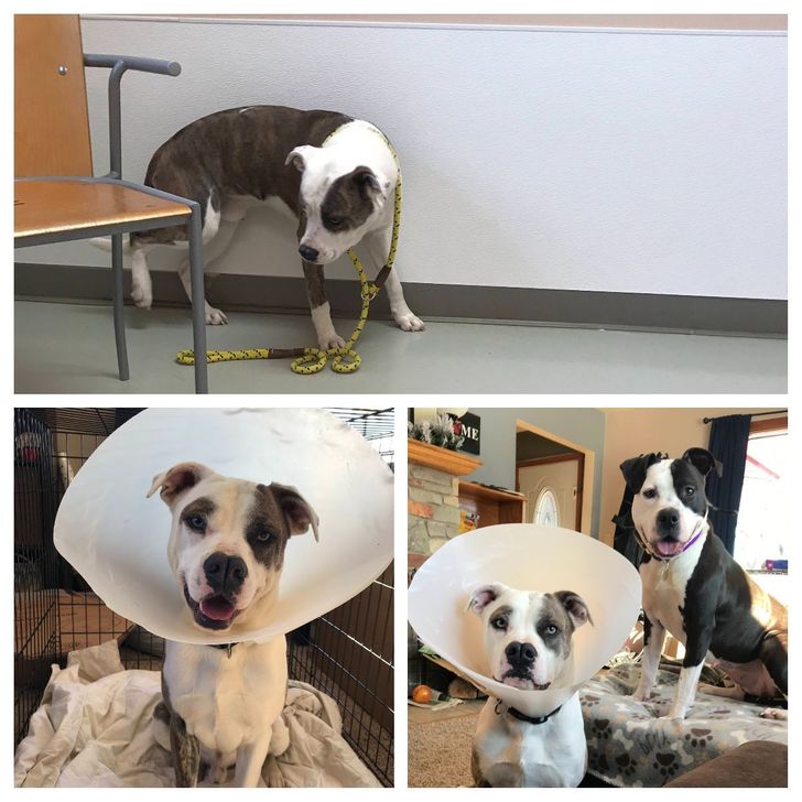 17dffb50528a8220c849f9b3f1