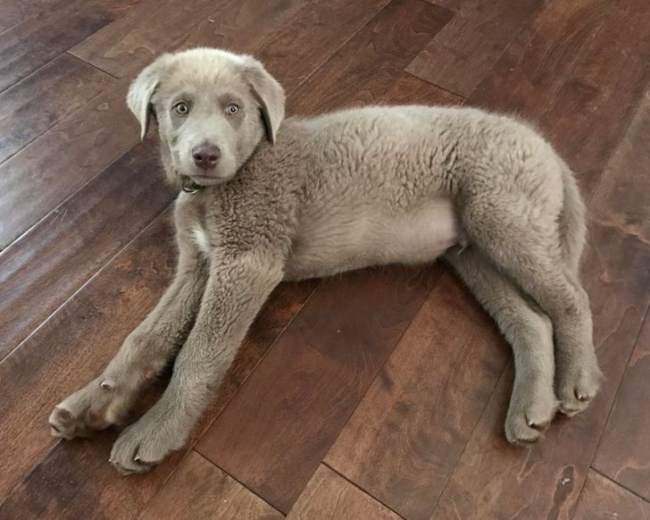 17e63157898e5050575d06d0b8