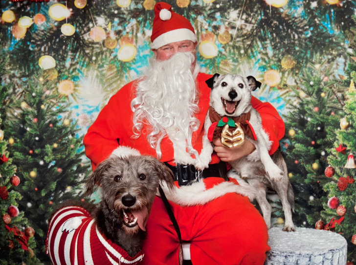 17e7585022961f748f03462181