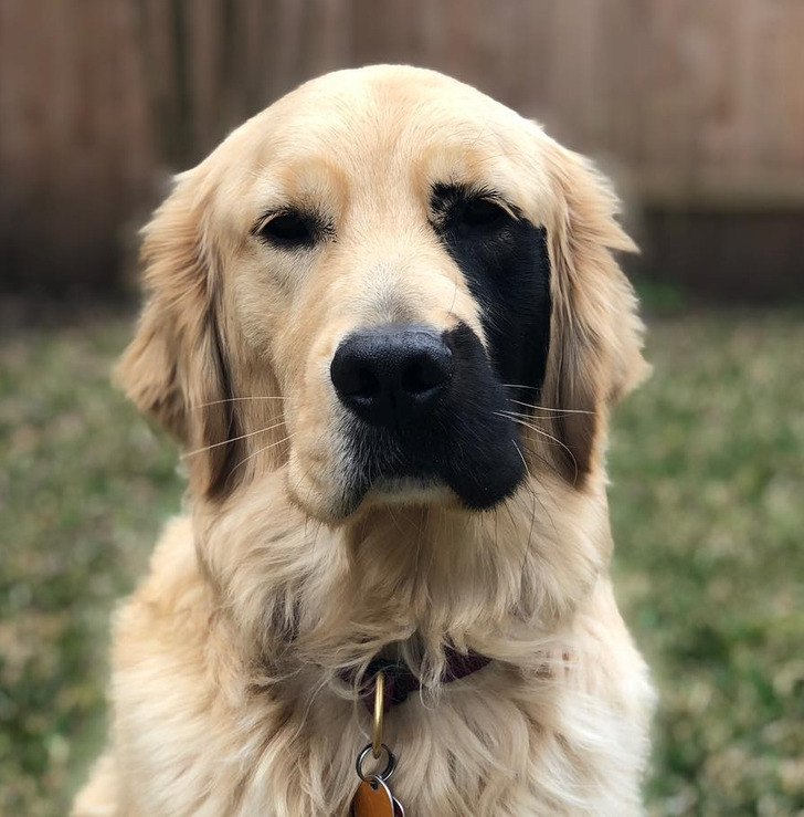 17e9e45e25a2312ad3c5a1d2c1 17e9e45e25a2312ad3c5a1d2c1